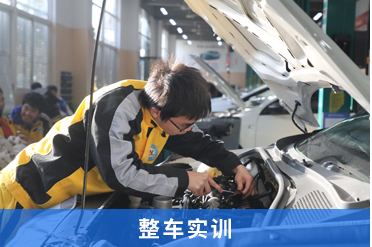 教学