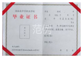 大专毕业证书